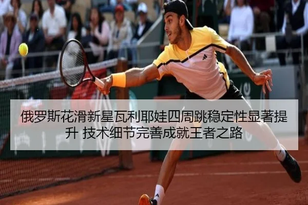 e-luo-si-hua-hua-xin-xing-wa-li-ye-wa-si-zhou-tiao-wen-ding-xing-xian-zhu-ti-sheng-ji-shu-xi-jie-wan-shan-cheng-jiu-2-492.jpg
