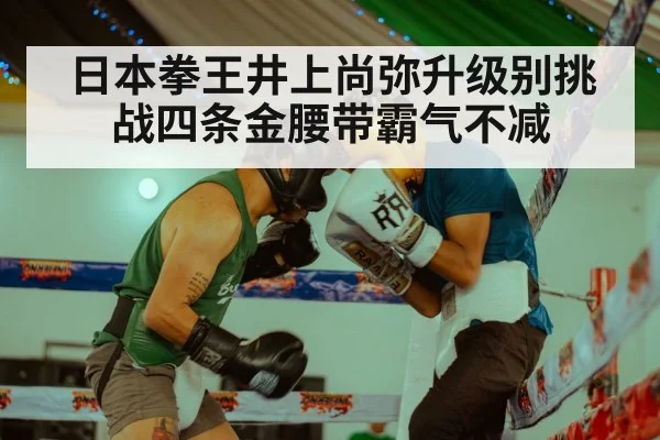 日本拳王井上尚弥升级别挑战四条金腰带霸气不减