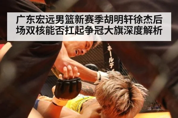 广东宏远男篮新赛季胡明轩徐杰后场双核能否扛起争冠大旗深度解析
